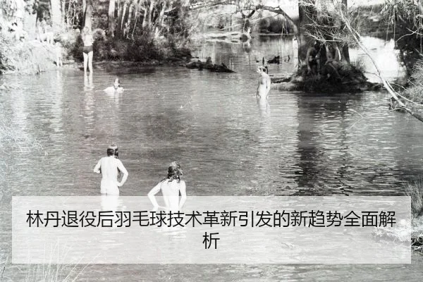 lin-dan-tui-yi-hou-yu-mao-qiu-ji-shu-ge-xin-yin-fa-de-xin-qu-shi-quan-mian-jie-xi-1-469.jpg