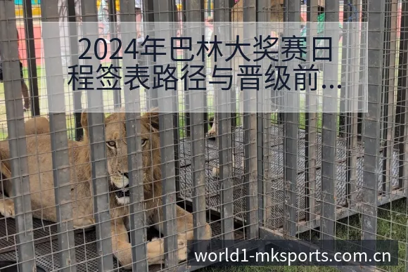 2024年巴林大奖赛日程签表路径与晋级前景风险观察分析 - mk体育
